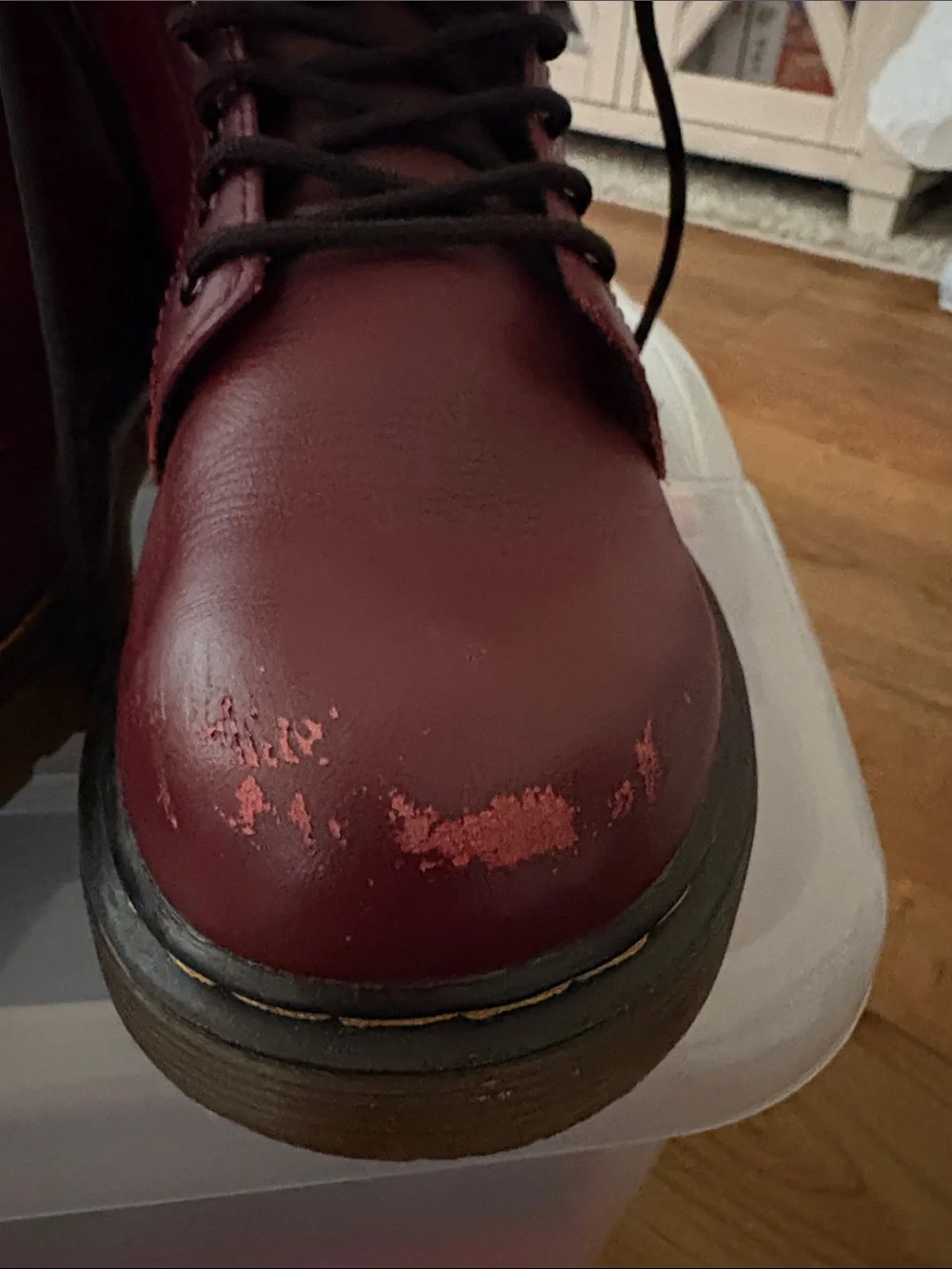 Dr. Martens Kids Burgundy Lace-Up Combat Boots